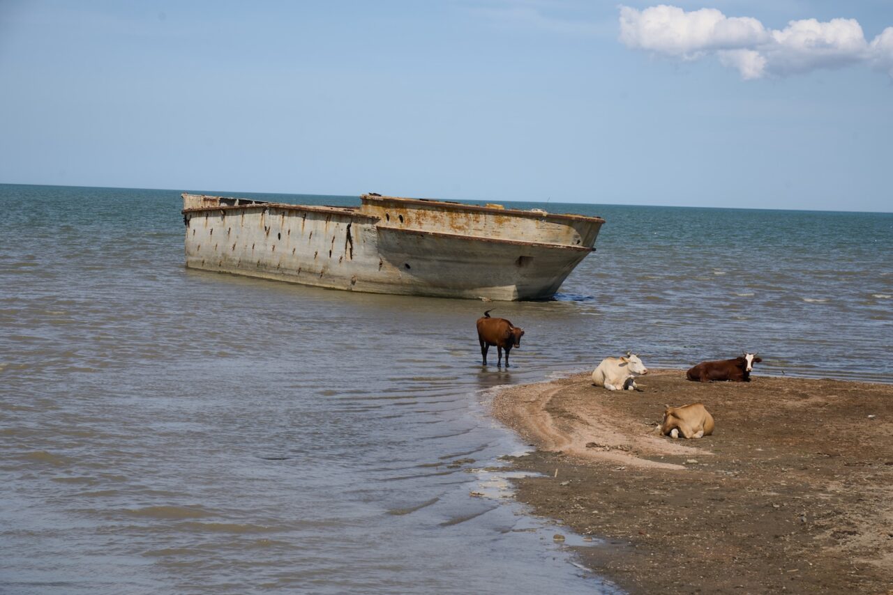 «Кедр»