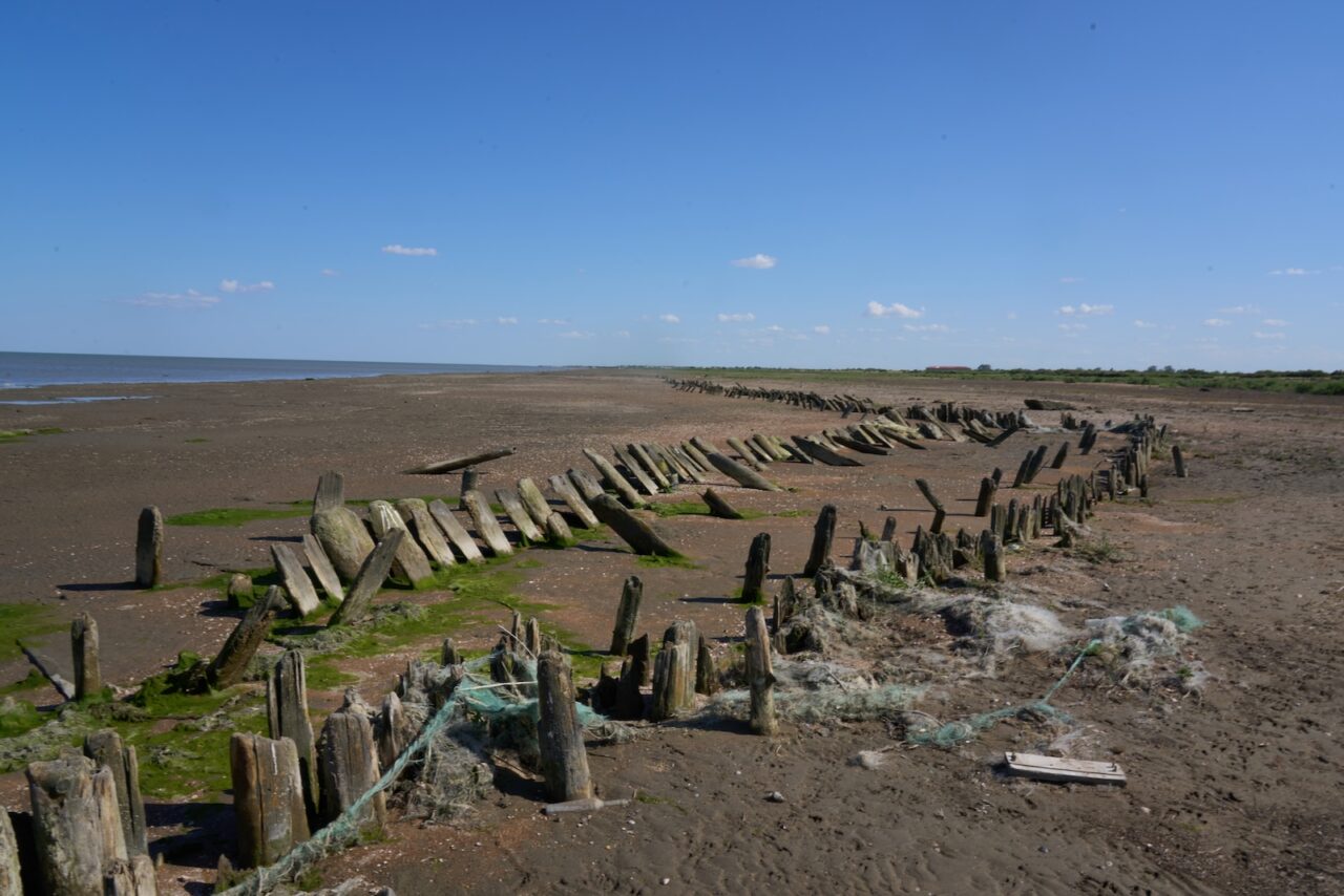 «Кедр»