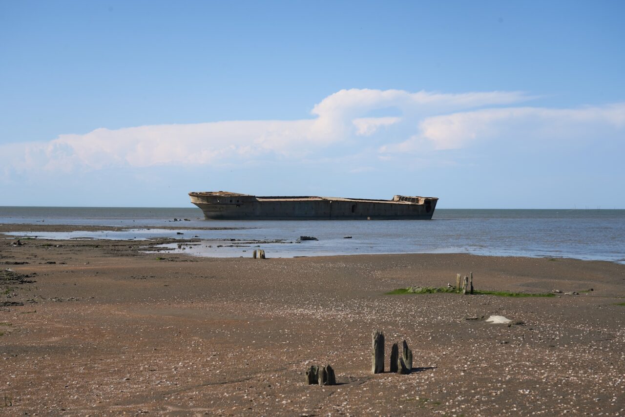 «Кедр»